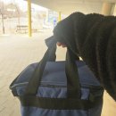 파주시보건소 | 파주 유축기 대여 산후도우미 보건소 신청 및 환급 방법