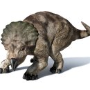 프로토케라톱스 이미지