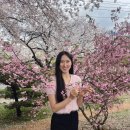 낙동제방길-1 | 2026 사상 삼락공원 벚꽃축제 낙동제방벚꽃길 방문 후기(4월 4일 기준 개화상태)