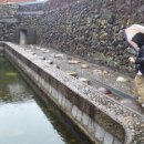 정당새미 이미지