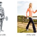나이스포츠 이미지