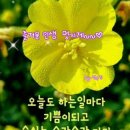 견우직녀 이미지