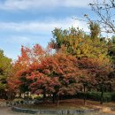 사진 몇 장...Bucheon Central Park. 이미지