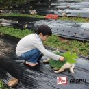 흙사랑농장 이미지