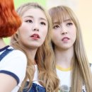 지빠 이미지