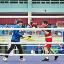 크라운복싱 동탄점 이미지