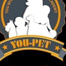 스타애견미용 이미지