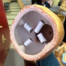 박하약국 | [후기] 중국약학대학교 겨울국제캠프