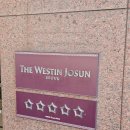 호텔 아리아 | 서울 뷔페 웨스틴 조선호텔 아리아 주말 런치 후기