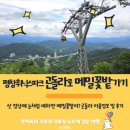 휘닉스파크 이미지