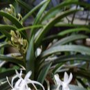 대승이네 이미지