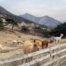 진호목장 이미지