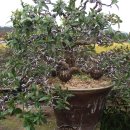 창암농장 이미지