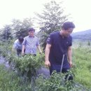 이재철농장 이미지