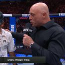UFC 317 미얀마 파이터 조슈아 반 경기결과 이미지