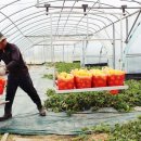 늘찬농장 이미지