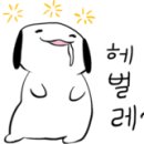 온통족발 이미지