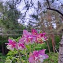 승희농장 이미지