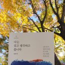 생각을씁니다 | 서평단 나는 걷고 생각하고 씁니다 책 후기
