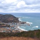 6월 13일 포항 해파랑길18코스중 9k 이미지