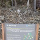 건천편백숲내음길 네이버블로그