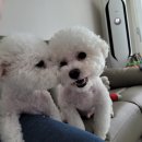 진희슈퍼 이미지