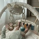 제일체육관 | [육아용품]보이보이 아기체육관 내돈내산 찐후기 (2개월 아기 후기, 단점, 세탁까지 정리)