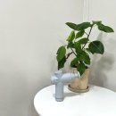 운중고교 | 서판교 운중동 필라테스, 출산 후 육아 중 체형 교정을 위한 바른수 필라테스 일대일 수업