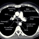 김흉부외과의원 이미지