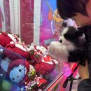 소연돼지국밥 | 아름다웠던 우리 계절에게❄️🌨️☃️