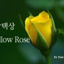 Yellow 이미지
