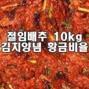 김장김치 담그기 절임배추 10kg 김장김치양념비율 이렇게 해요 이미지