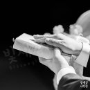 DS(디에스)호텔 | 디에스컨벤션 결혼예배 본식스냅 후기 | 수원결혼식...공원웨딩홀 | 수원ds컨벤션결혼식스냅 | 수원교회...