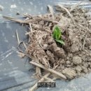 중인농장 이미지