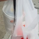 신정네거리역 맛집/맘스터치 신정네거리역점