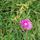 상화농장 이미지