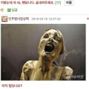 더샤벳 이미지