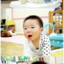 진걸 Daum카페