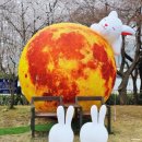 수일여자중학교 | 수원 놀거리 벚꽃 명소 만석공원 벚꽃 축제 실시간 개화 후기