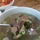 중앙가든 Daum카페