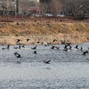 구수리 농장 이미지