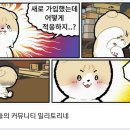 돈&짱