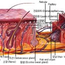 이경희한의원 네이버블로그