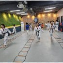용인대우리태권도 이미지