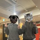 향토구공탄
