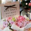 토시리 이미지
