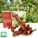 영준 농장 이미지