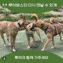 [해외이동봉사] 인천-＞벤쿠버 소중한 이동봉사자님을 구합니다! 이미지