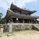 야로시장 | &#39;밤을 지키는 남한산성&#39; 성남 문화재 야행