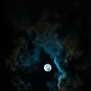 달빛소나타 이미지